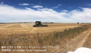 小麦収穫はほぼ終了（豪州）1-2.j